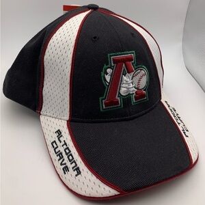Vintage 90s Altoona Curve Hat Twins Ent. MiLB Minor League Baseball Cap Y2K New